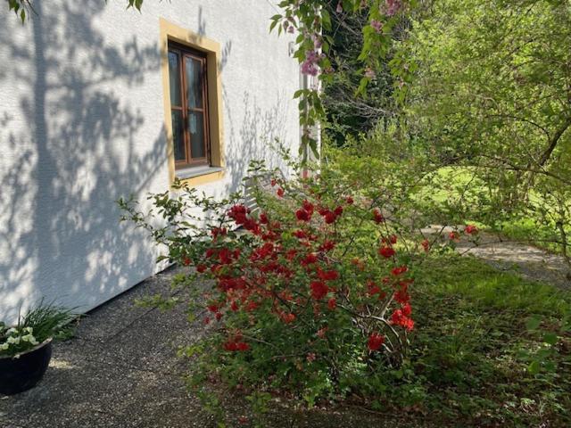 Ferienwohnungen Hanke Barbara Piding Exteriör bild